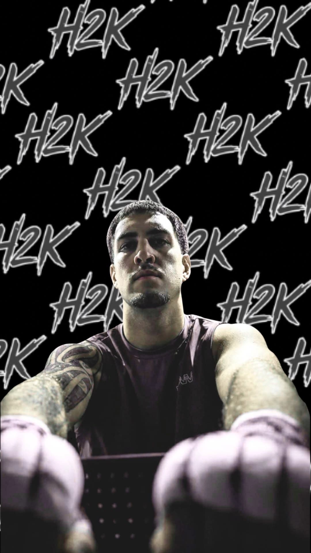 H2K tapestry model